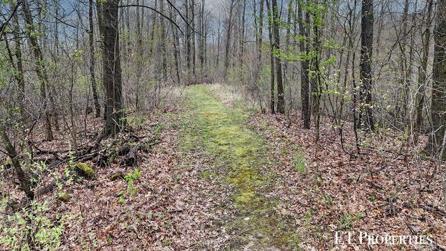 14255 Myers Lake Avenue, Cedar Springs, MI 49319