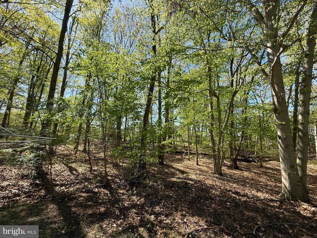 7 LAUREL DR, Mullica Hill, NJ 08062