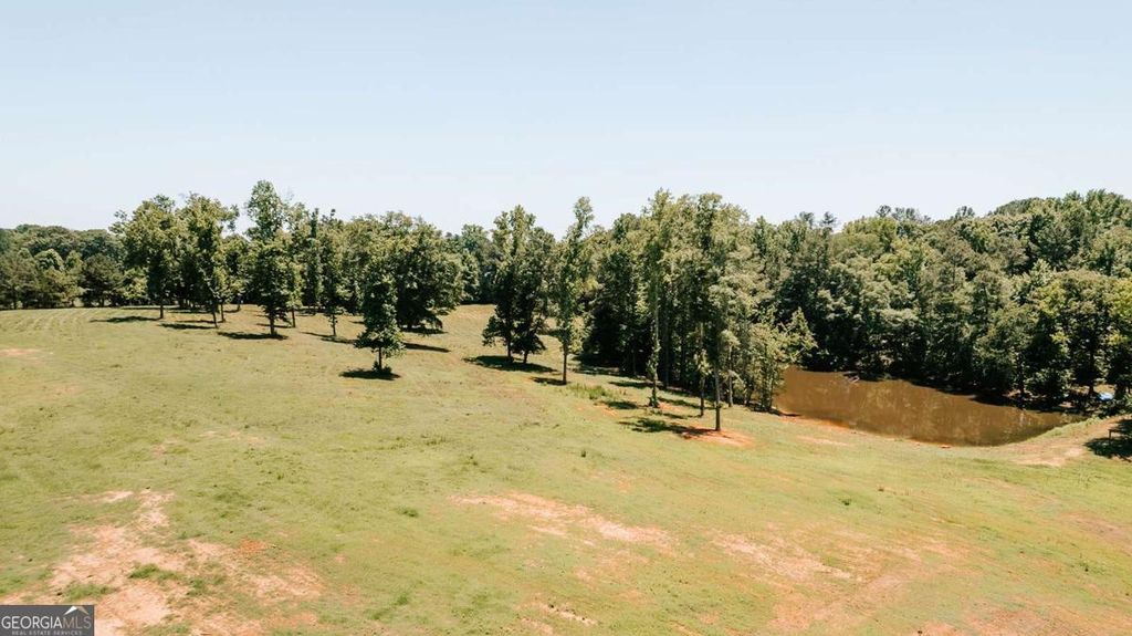 0 Mitchell Farm Road, Colbert, GA 30628 — photo 5