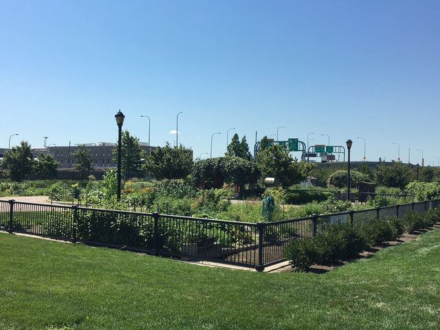 204 Marion Street 5, Boston, MA 02128