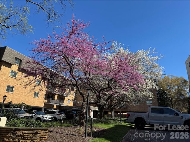 1323 Queens Road 303, Charlotte, NC 28207