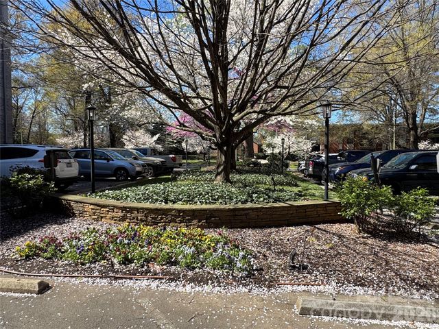 1323 Queens Road 303, Charlotte, NC 28207