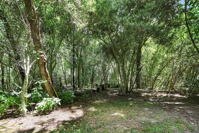 25703 Penguin Street, Magnolia, TX 77355