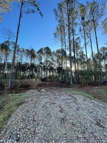 11356 Annie Creek Drive, Willis, TX 77378