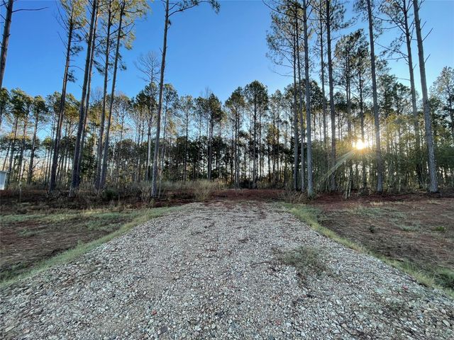 11356 Annie Creek Drive, Willis, TX 77378