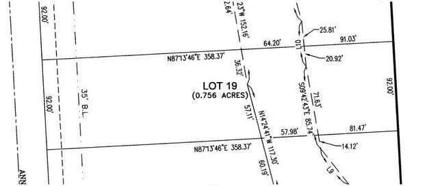 11356 Annie Creek Drive, Willis, TX 77378