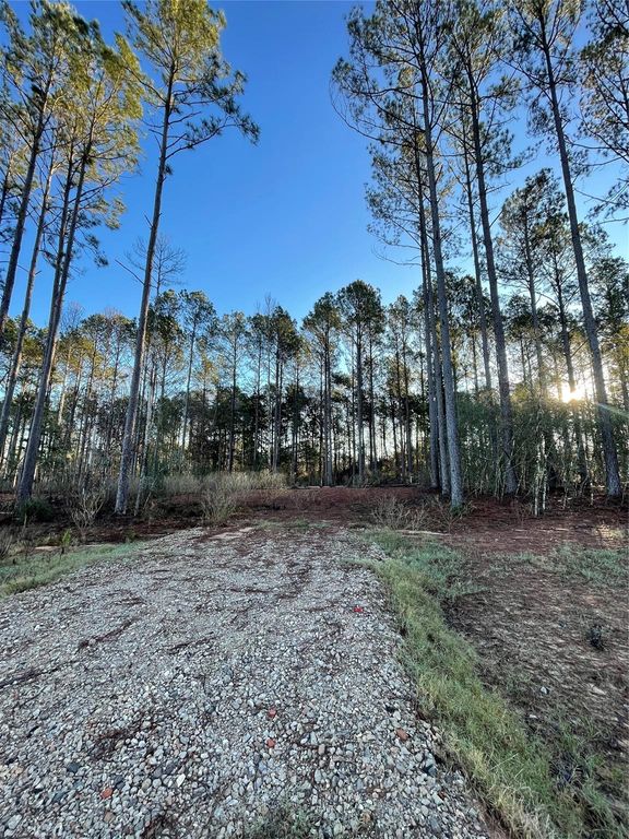 11356 Annie Creek Drive, Willis, TX 77378