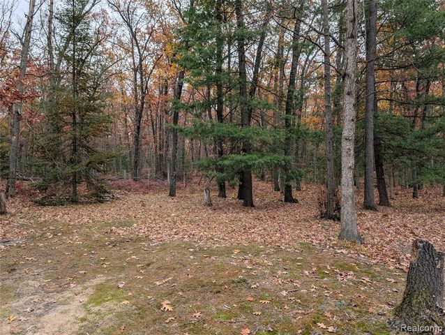 3817 S Townline Road, Houghton Lake, MI 48651