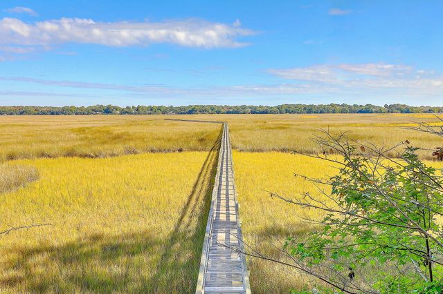 2353 Grandiflora Boulevard, Charleston, SC 29414