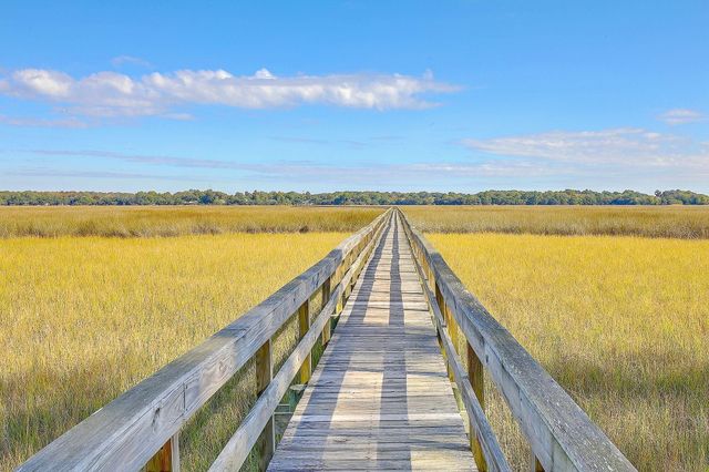 2353 Grandiflora Boulevard, Charleston, SC 29414