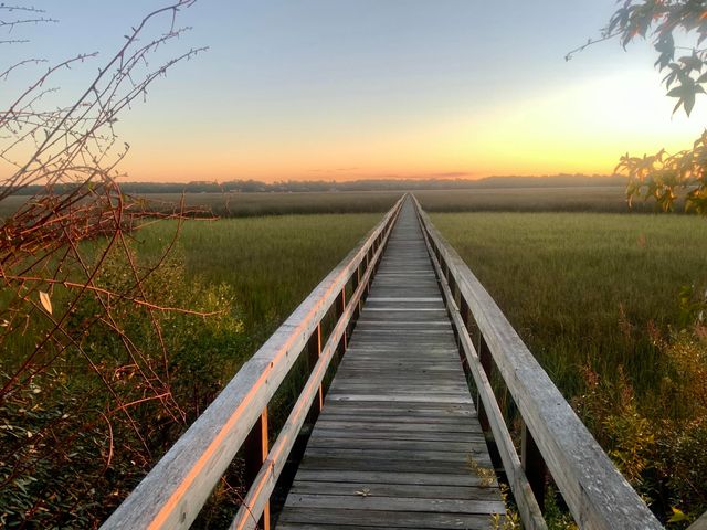 2353 Grandiflora Boulevard, Charleston, SC 29414