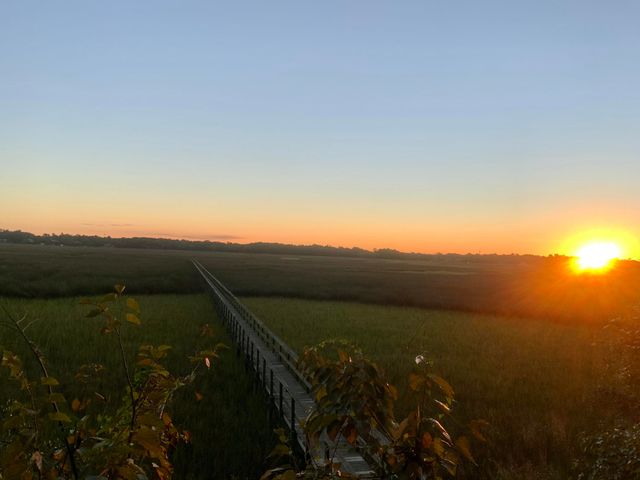 2353 Grandiflora Boulevard, Charleston, SC 29414