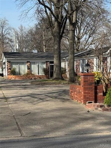 1325 Mill, New Madrid, MO 63869