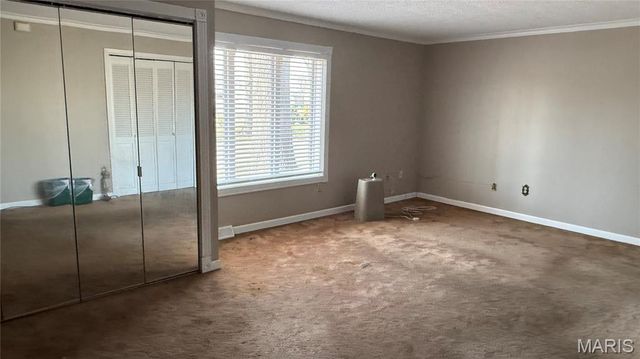 1325 Mill, New Madrid, MO 63869