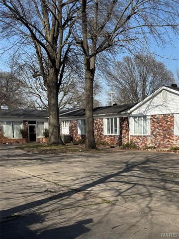 1325 Mill, New Madrid, MO 63869