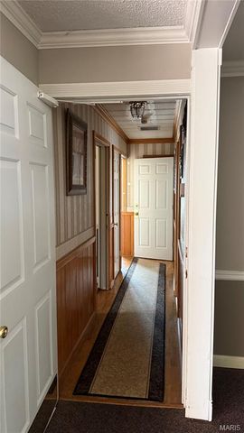 1325 Mill, New Madrid, MO 63869