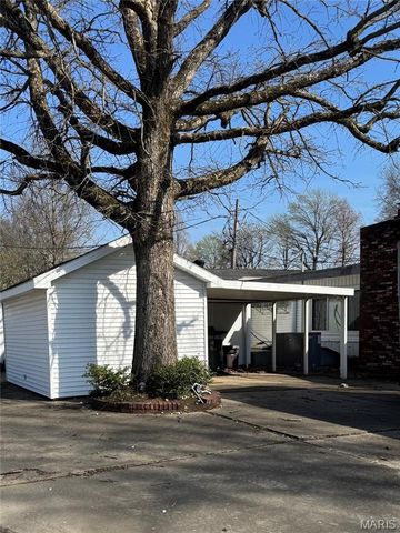 1325 Mill, New Madrid, MO 63869