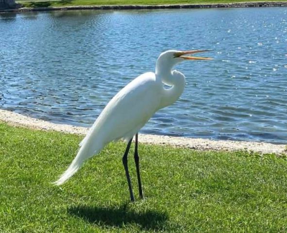 74711 Dillon Rd Spc 110, Desert Hot Springs, CA 92241