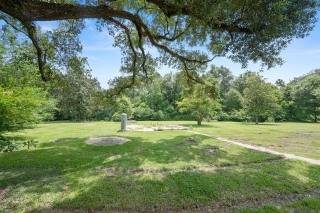 31498 N Doyle Rd, Holden, LA 70744