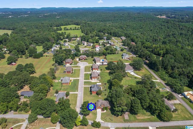 1148 HICKORY DRIVE, Morris, AL 35116