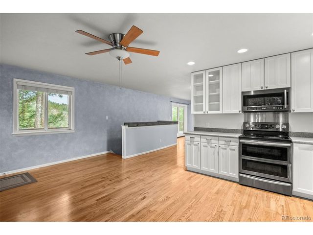 33678 Jenifer Rd, Pine, CO 80470