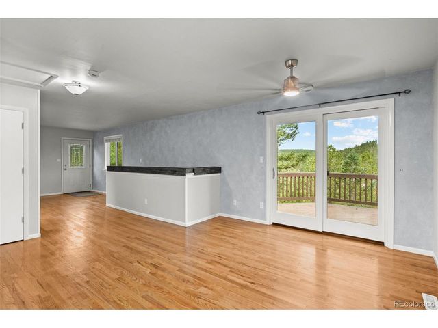 33678 Jenifer Rd, Pine, CO 80470