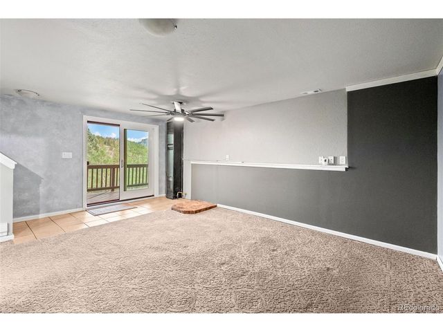 33678 Jenifer Rd, Pine, CO 80470