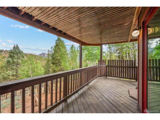 33678 Jenifer Rd, Pine, CO 80470