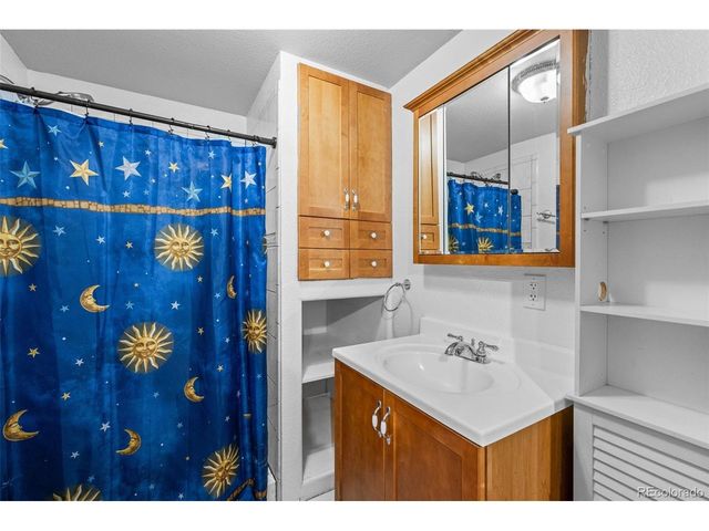 33678 Jenifer Rd, Pine, CO 80470