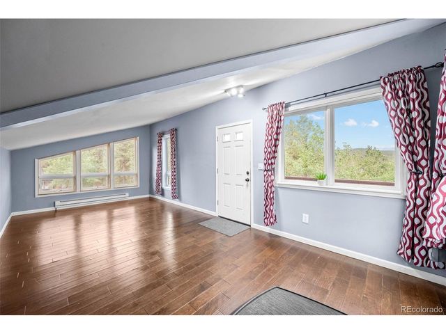 33678 Jenifer Rd, Pine, CO 80470