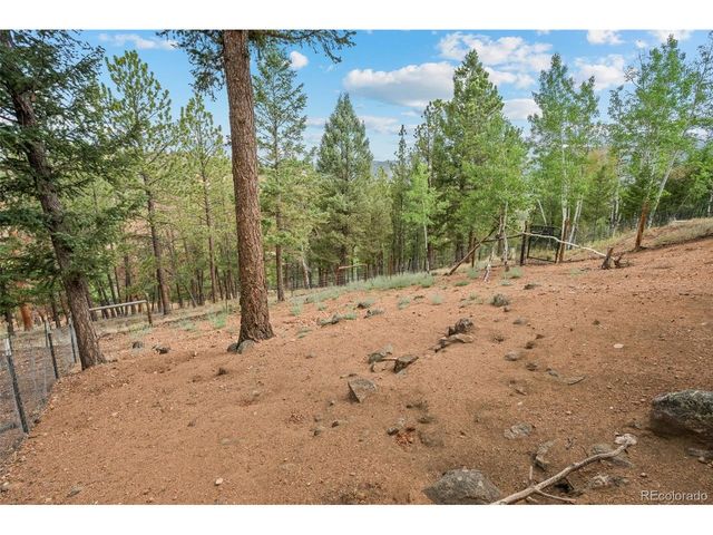 33678 Jenifer Rd, Pine, CO 80470