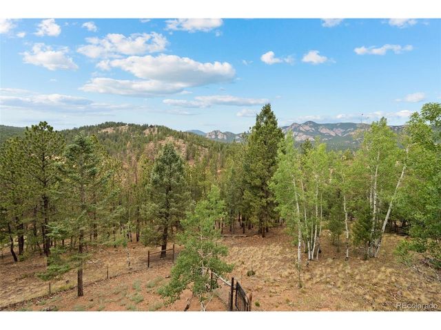 33678 Jenifer Rd, Pine, CO 80470