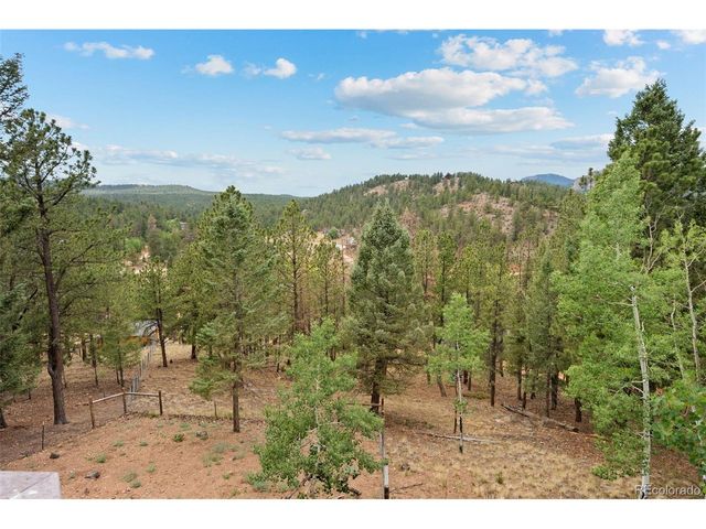 33678 Jenifer Rd, Pine, CO 80470