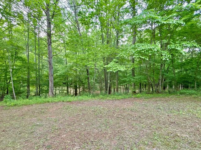 Lot 5 Spiva Cove, Blairsville, GA 30512