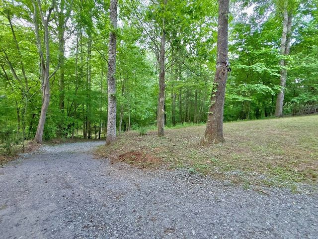 Lot 5 Spiva Cove, Blairsville, GA 30512
