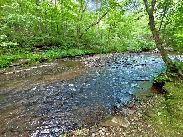 Lot 5 Spiva Cove, Blairsville, GA 30512
