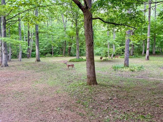 Lot 5 Spiva Cove, Blairsville, GA 30512