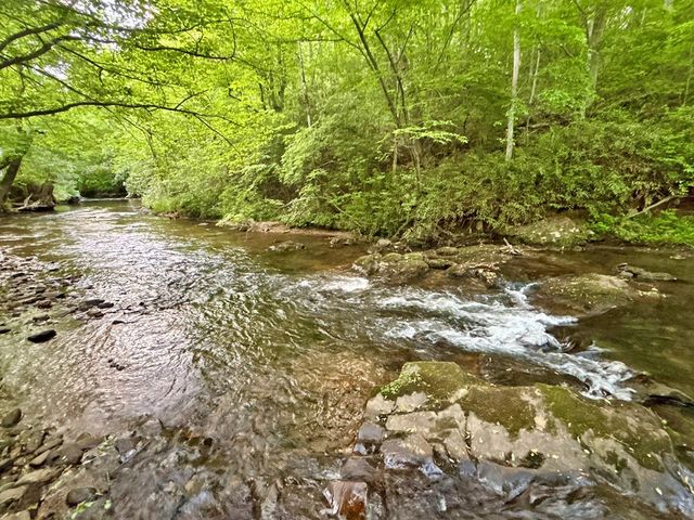 Lot 5 Spiva Cove, Blairsville, GA 30512