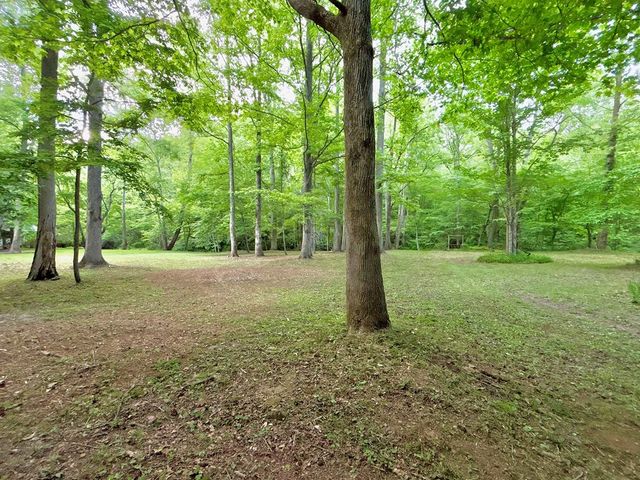 Lot 5 Spiva Cove, Blairsville, GA 30512