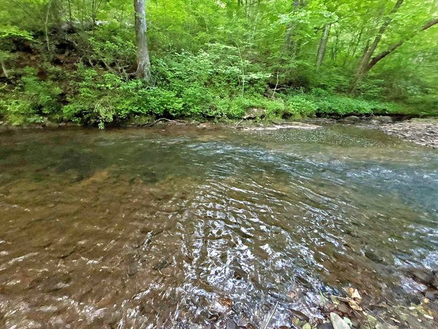 Lot 5 Spiva Cove, Blairsville, GA 30512