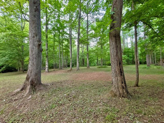 Lot 5 Spiva Cove, Blairsville, GA 30512
