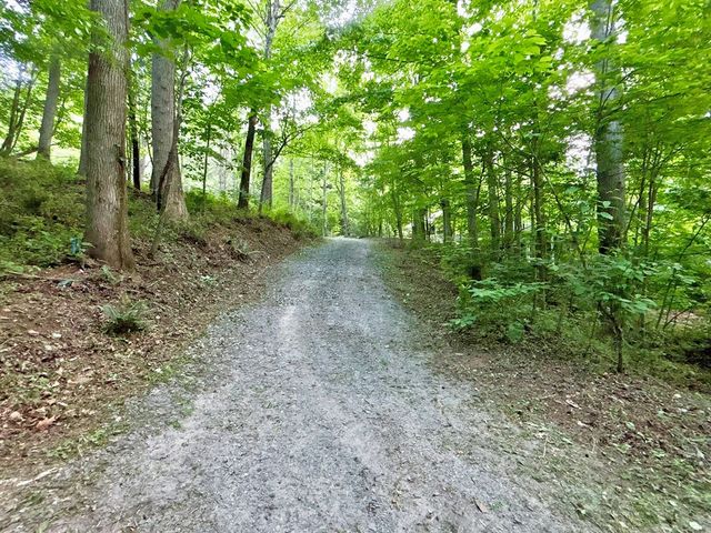 Lot 5 Spiva Cove, Blairsville, GA 30512