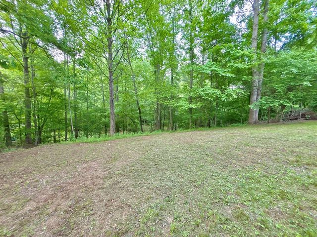 Lot 5 Spiva Cove, Blairsville, GA 30512