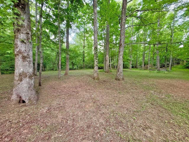 Lot 5 Spiva Cove, Blairsville, GA 30512