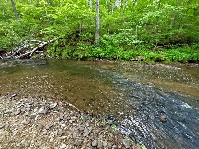 Lot 5 Spiva Cove, Blairsville, GA 30512