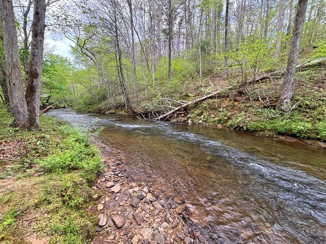 Lot 5 Spiva Cove, Blairsville, GA 30512