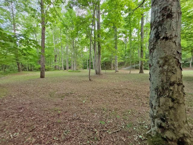 Lot 5 Spiva Cove, Blairsville, GA 30512
