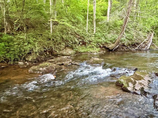 Lot 5 Spiva Cove, Blairsville, GA 30512