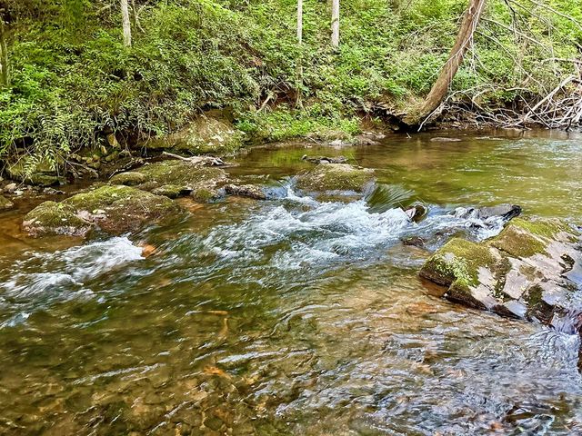 Lot 5 Spiva Cove, Blairsville, GA 30512