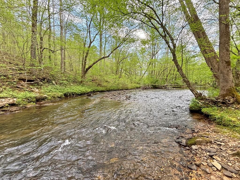 Lot 5 Spiva Cove, Blairsville, GA 30512